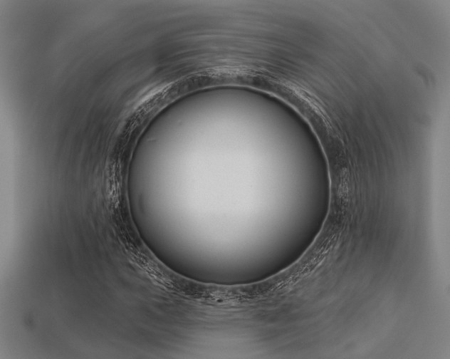 X0000113281015200909141220