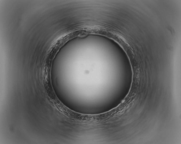 X0000113281016200909141220