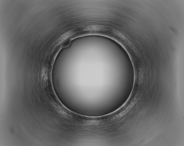 X0000113281017200909141220