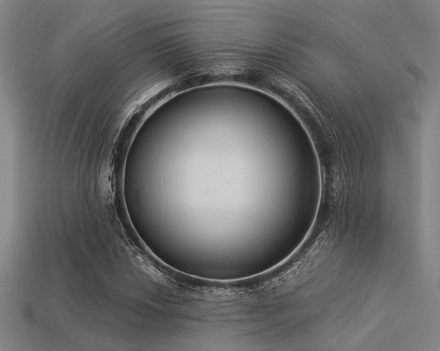 X0000113281018200909141220