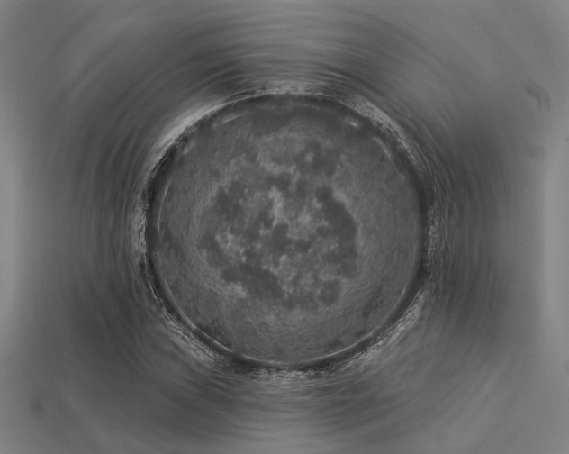 X0000113281019200909141220