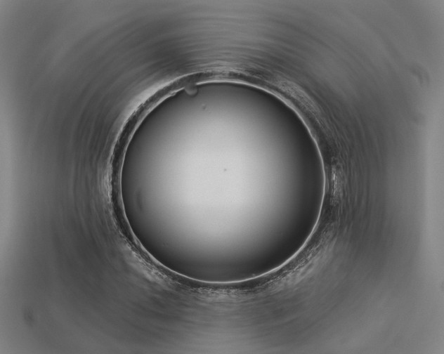 X0000113281020200909141220