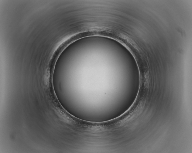 X0000113281021200909141220