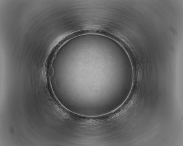 X0000113281022200909141220