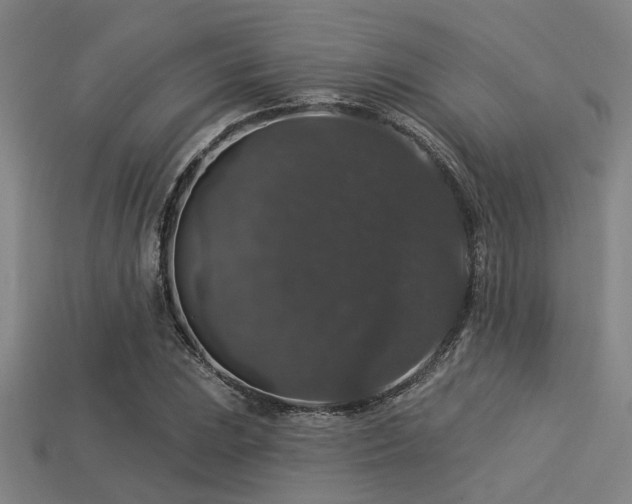 X0000113281023200909141220