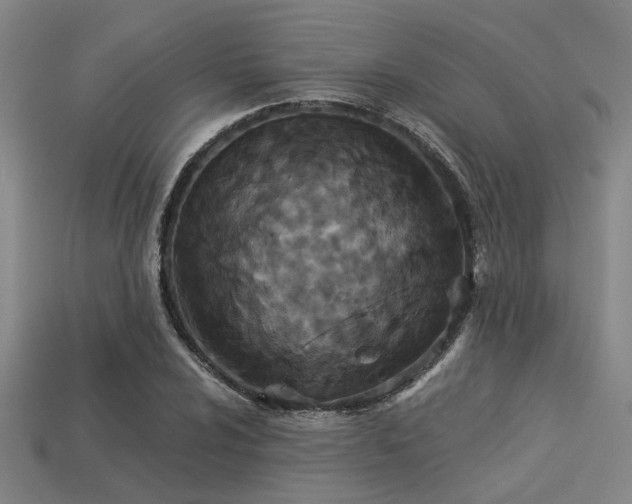 X0000113281024200909141220