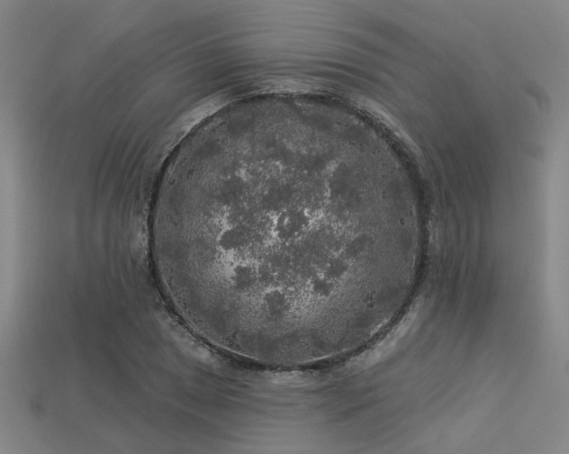 X0000113281025200909141221