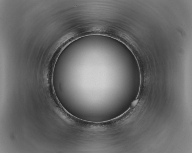 X0000113281026200909141221