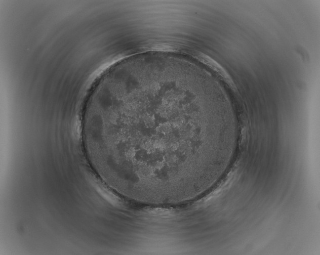 X0000113281027200909141221