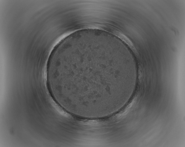 X0000113281028200909141221