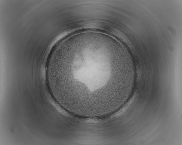 X0000113281029200909141221