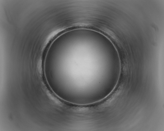 X0000113281030200909141221