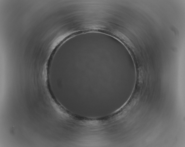 X0000113281031200909141221