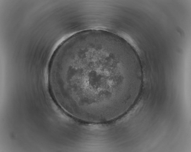 X0000113281032200909141221