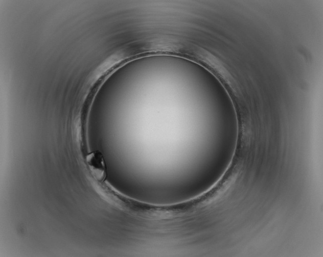 X0000113281034200909141221