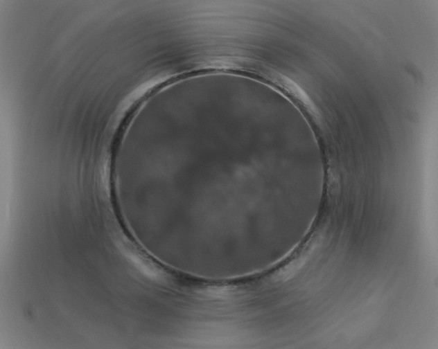 X0000113281035200909141221