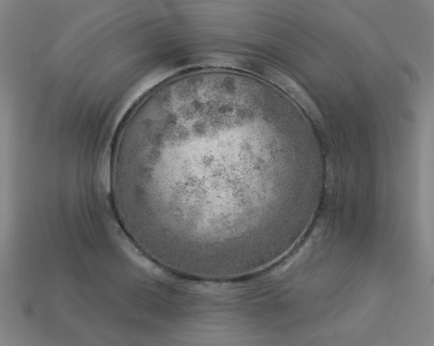 X0000113281036200909141221