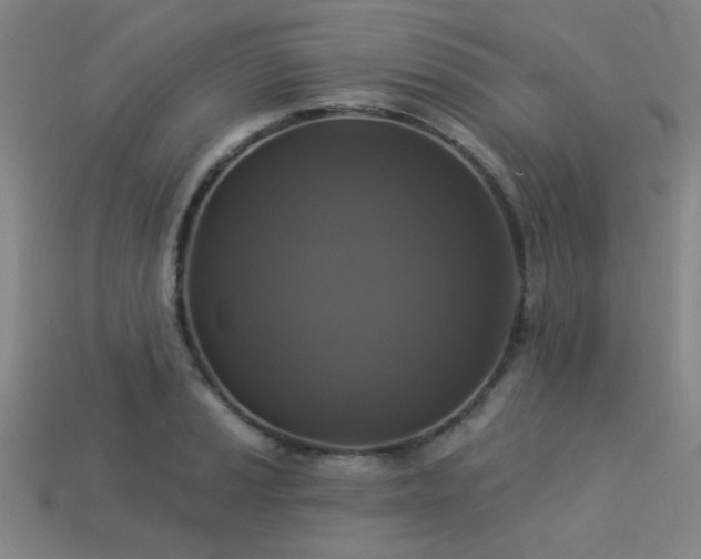 X0000113281037200909141221