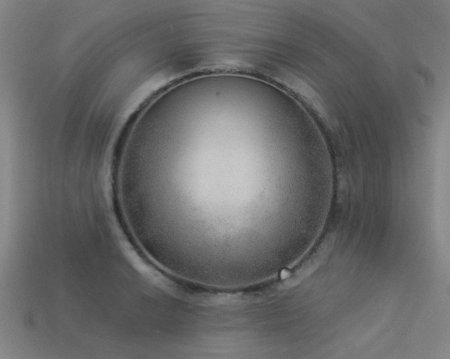 X0000113281038200909141221