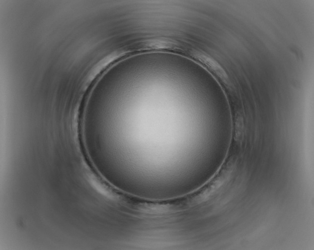 X0000113281039200909141221