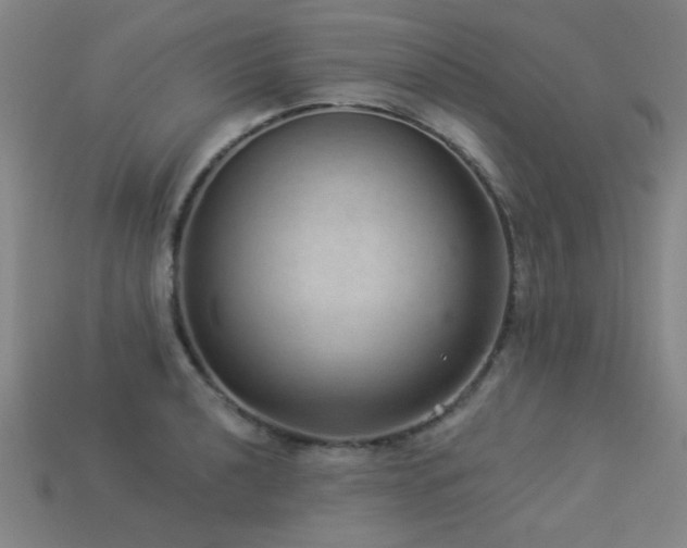 X0000113281040200909141221