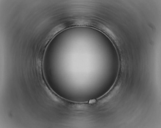 X0000113281041200909141221