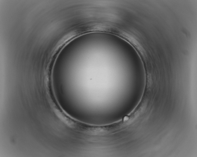 X0000113281042200909141221