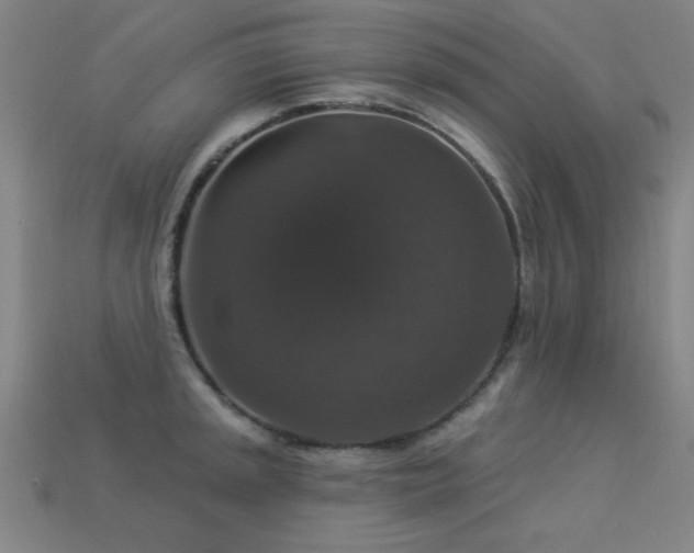 X0000113281045200909141221