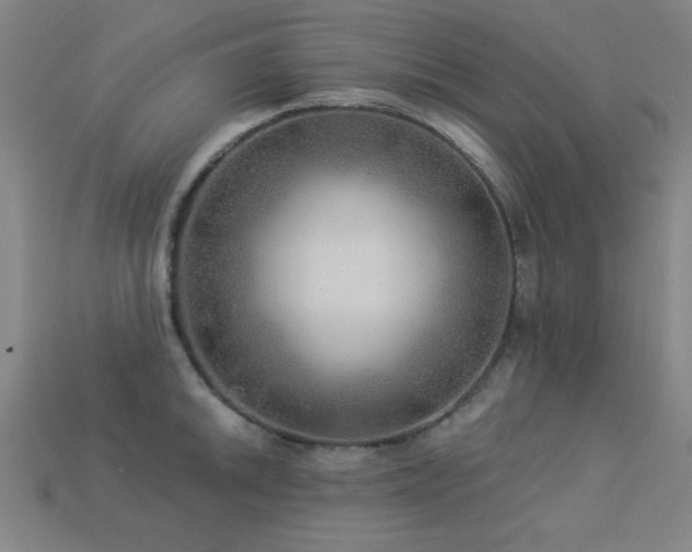 X0000113281046200909141221