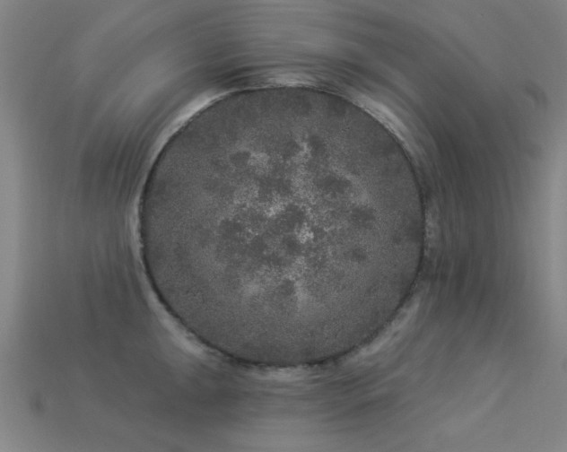 X0000113281047200909141221