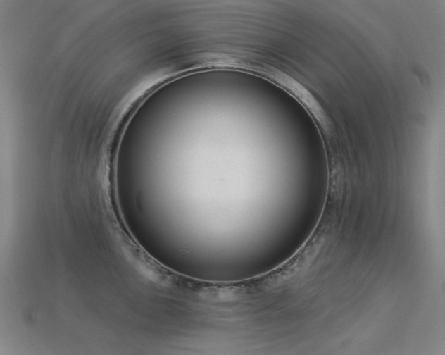 X0000113281051200909141221