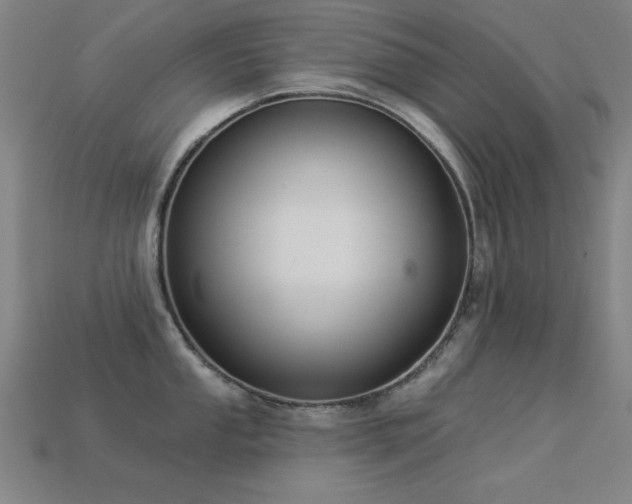 X0000113281053200909141221