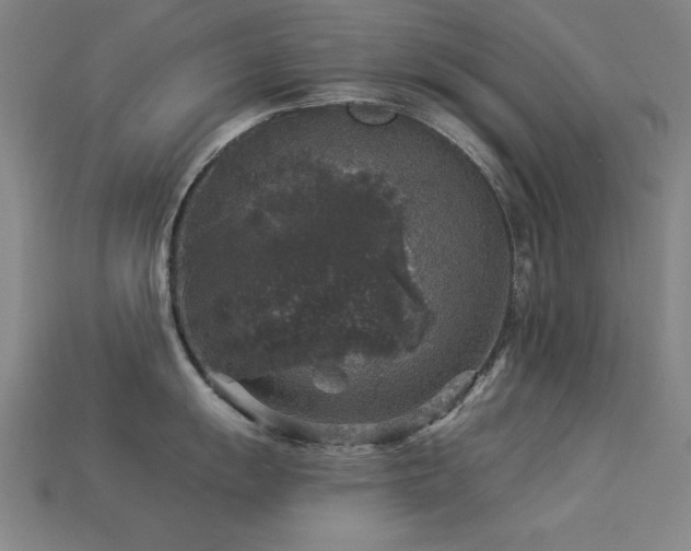 X0000113281055200909141221