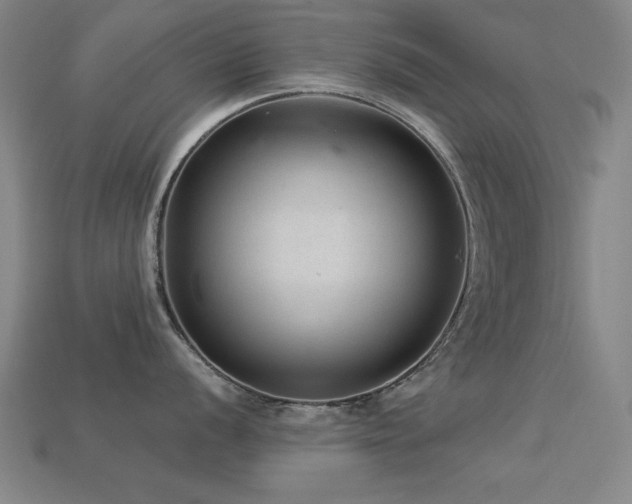 X0000113281056200909141221