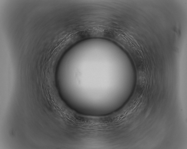 X0000113281057200909141220