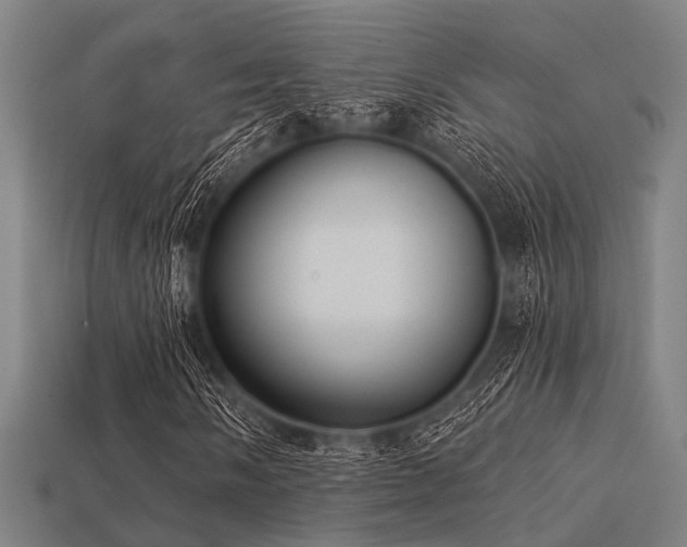 X0000113281058200909141220