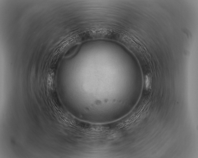 X0000113281059200909141220