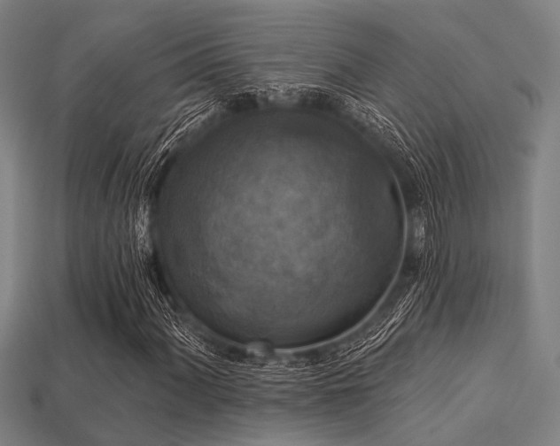 X0000113281060200909141220