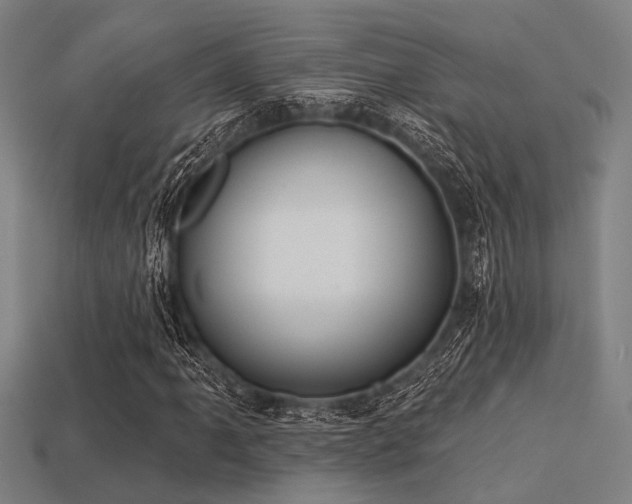 X0000113281061200909141220