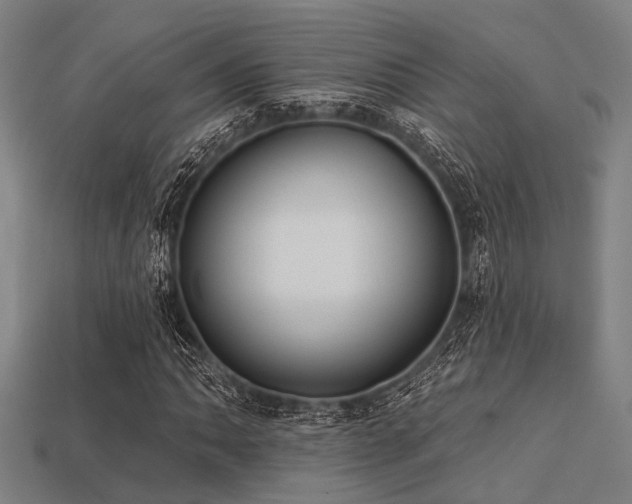 X0000113281062200909141220