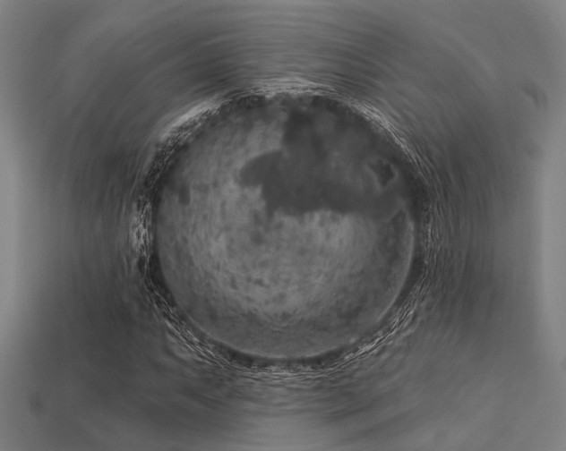 X0000113281063200909141220