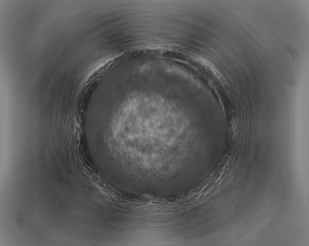 X0000113281064200909141220