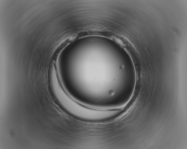 X0000113281065200909141220