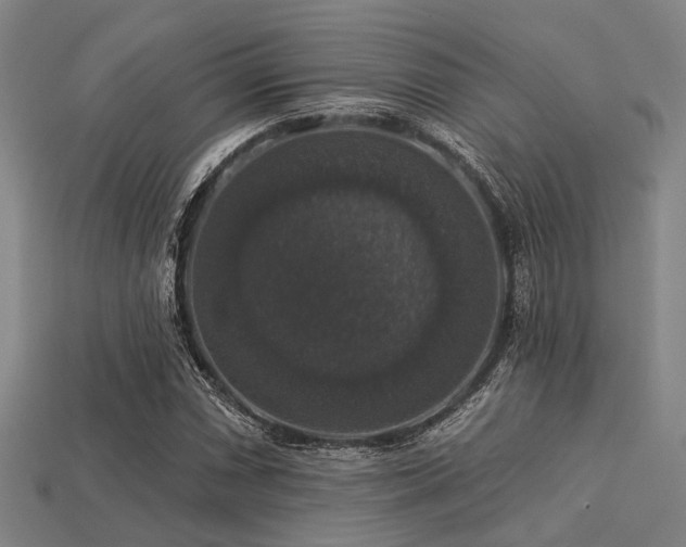 X0000113281066200909141220