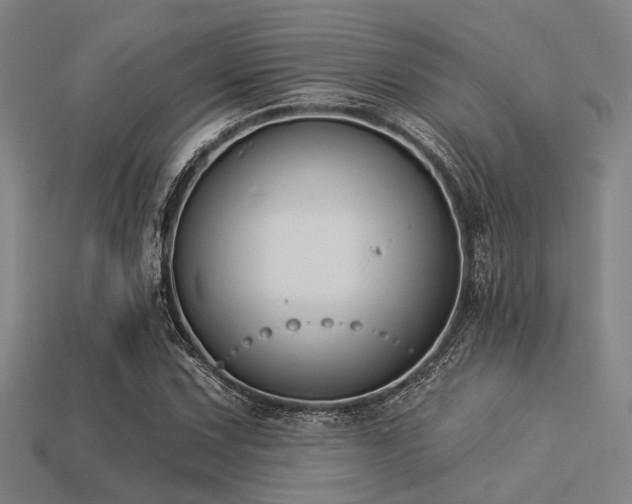 X0000113281067200909141220