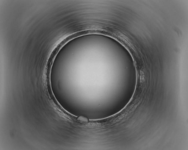 X0000113281068200909141220