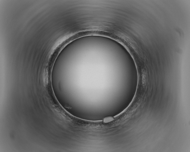 X0000113281069200909141220