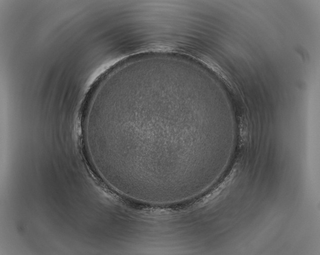 X0000113281070200909141220