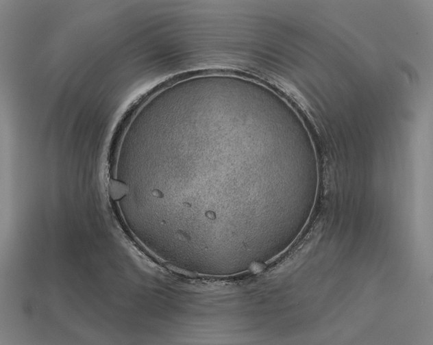 X0000113281072200909141220