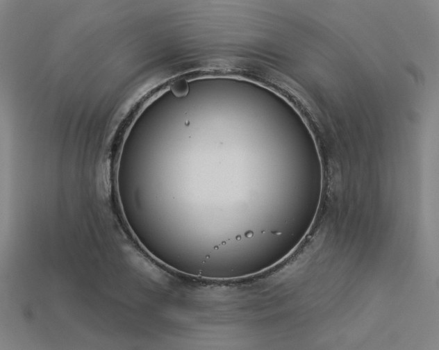 X0000113281075200909141220